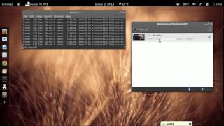 Youtube2MP3 in Ubuntu Linux screenshot 2