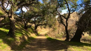 Harmon Canyon Trail Ventura