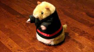 Dancing and Singing Hamster, 'Kung Fu Fighting'