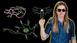 Could the Men in Black Neuralize You? (Because Science w/ Kyle Hill)