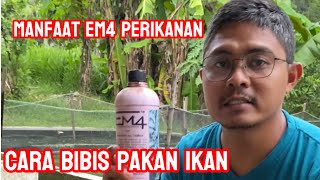 Download lagu Review dan manfaat EM4 perikanan untuk budidaya ikan