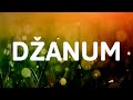 Teya Dora - Dzanum (Lyrics)