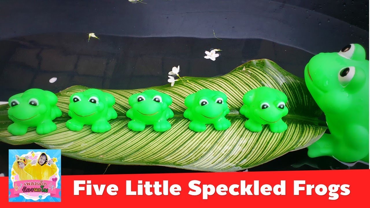 Five Little Speckled Frogs | เพลงเด็กภาษาอังกฤษ | รีวิว กบลอยน้ำ ประกอบเพลงน่ารัก