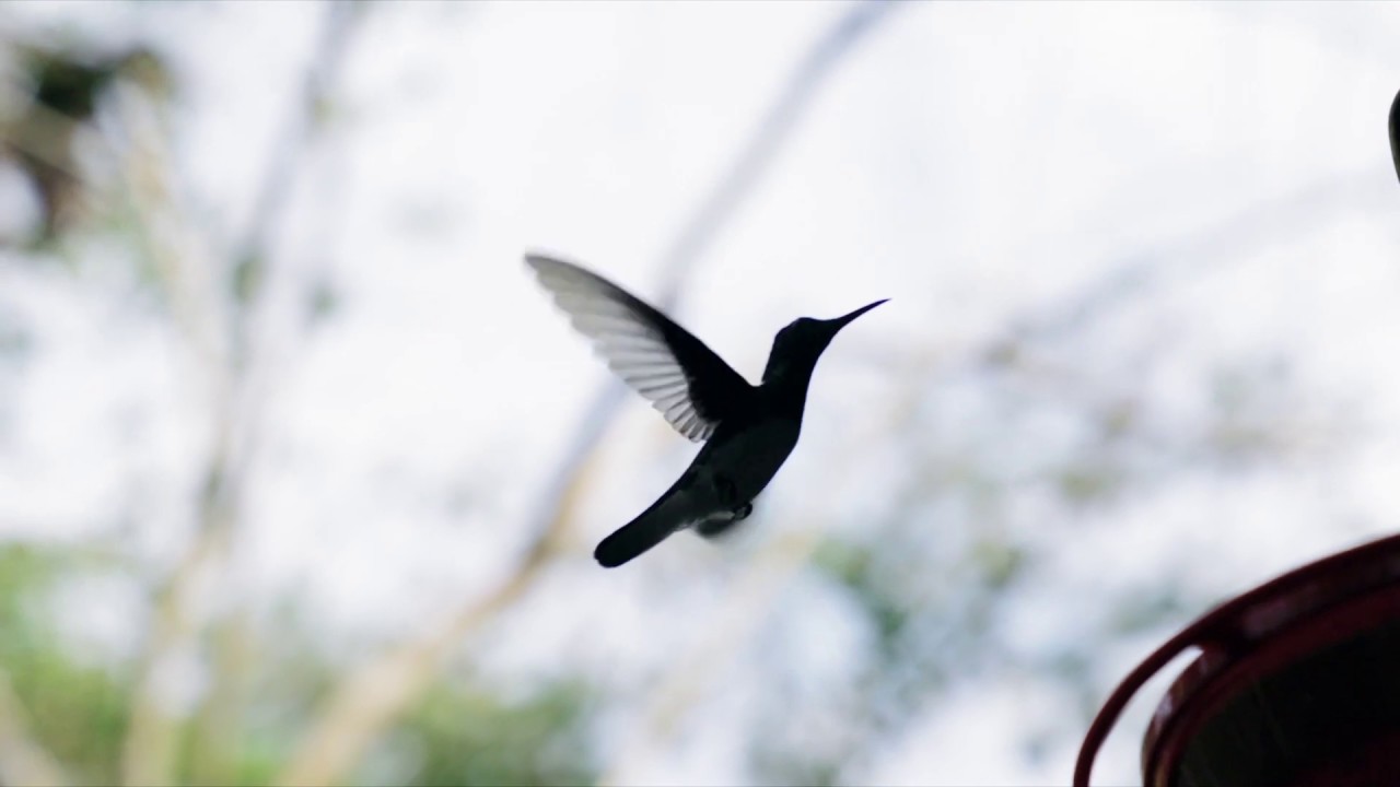 🎸 | Шансон 2021 | сборник великие песни шансона года 2021 | Андрей Град | Приходите в мой дом COVER