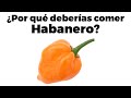 9 razones para comer chile habanero todos los días y peligros