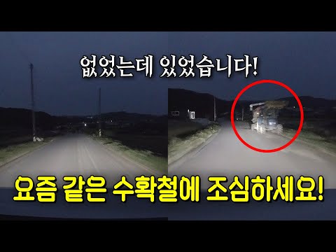 23256회. 요즘 같은 때 시골길 이거 조심해야 합니다!!