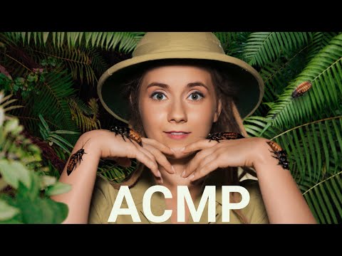 АСМР ЭВОЛЮЦИЯ 🦎🦔 Твои самые Дикие Мурашки !!🙃 //НОЧЬ в МУЗЕЕ