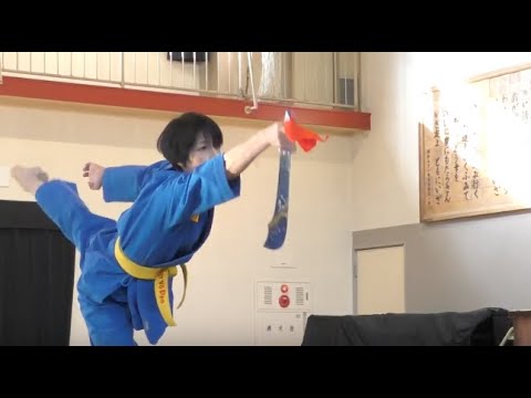 ベトナム総合武術 ボビナム PART-43 VOVINAM