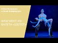 DUET FROM MURMURATION / Дуэт из балета «Шепот»