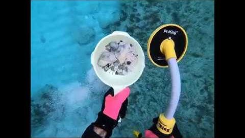 PI-iking 750 Metal detector testing