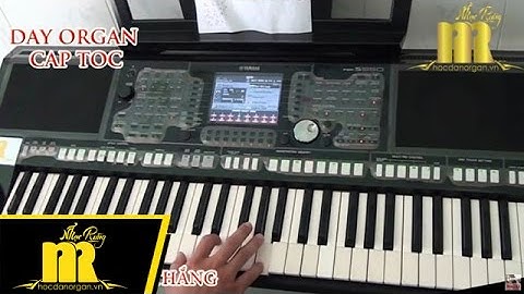 Học Đàn Organ Cấp Tốc TPHCM - BIỂN MẶN - Trung Tâm Nhạc Rừng