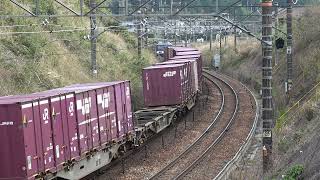 2025.4.12 15:21 2079レ EF210-317(吹)