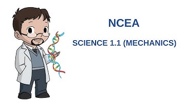 NCEA Sci1.1 [Acceleration]