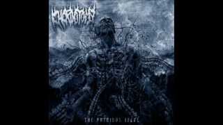 Chordotomy - Structures Of Inexistence