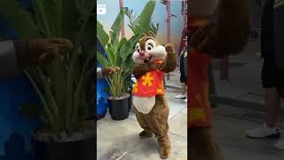 Chip And Dale Rescue Rangers The Classic Show On Dvd 