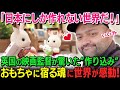 【海外の反応】「もう帰りたくない」イギリス人映画監督が涙…日本のシルバニアパークで心を奪われた理由