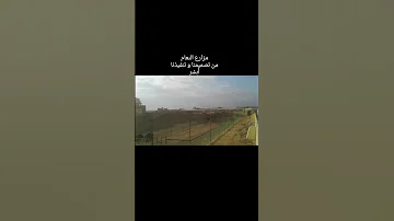 هل تعلم أننا نعيش الان فى عام 2028 وليس 2024 لان هناك خطأ فى التاريخ 