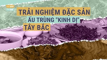 Trải nghiệm món ăn "kinh dị" vùng Tây Bắc: sâu đá, ấu trùng chuồn chuồn