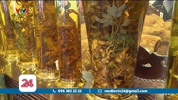 Chi hàng chục tỷ sưu tầm sâm Ngọc Linh | VTV24