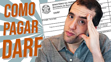 Onde declarar as Darfs pagas?