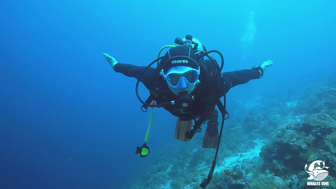 CEBU diving, Most fun in cebu without any a doubt! YouTube