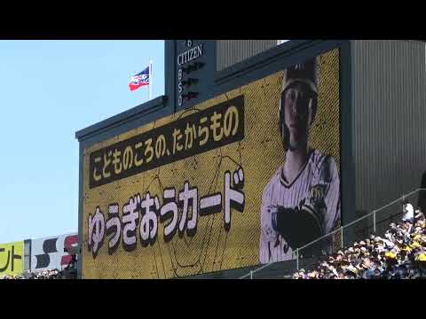 糸原健斗　登場曲2022（ひらがな）　偶数打席 FREAK 誓いの歌　＠甲子園　20220504