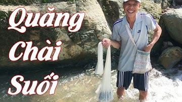 Quăng Chài Bắt Cá Sáp Suối | Núi Rừng Tây Bắc