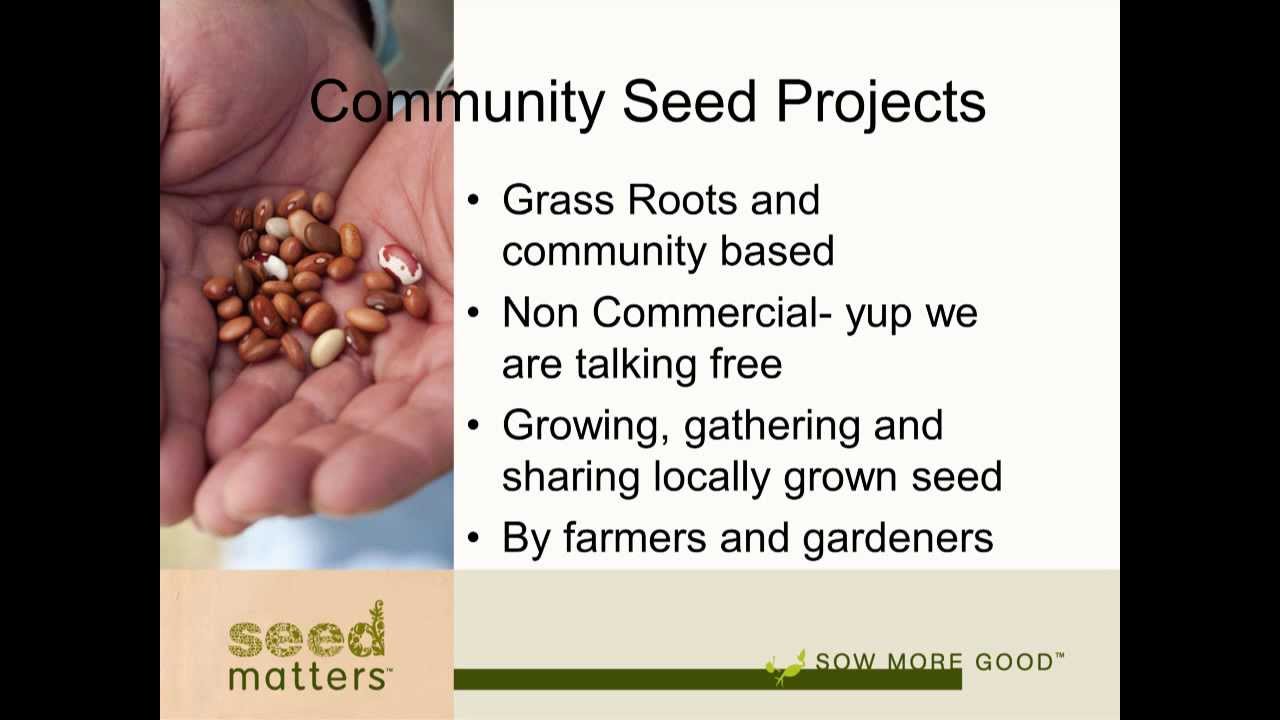 Sara McCamant at Seed Savers Exchange Conference & Campout 2013