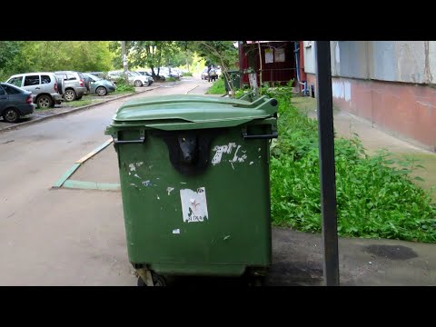 Новые правила перерасчета платы за вывоз мусора: разбираем решение суда