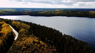 Parrot Bebop. Болота, лес и озера с высоты птичьего полета. Колошма и окрестности.