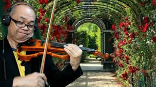 Video thumbnail of "THE GIFT - Jim Brickman VIOLIN COVER"