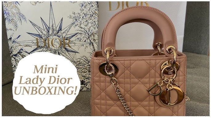 Túi xách Dior Lady và những phiên bản mới nhất.