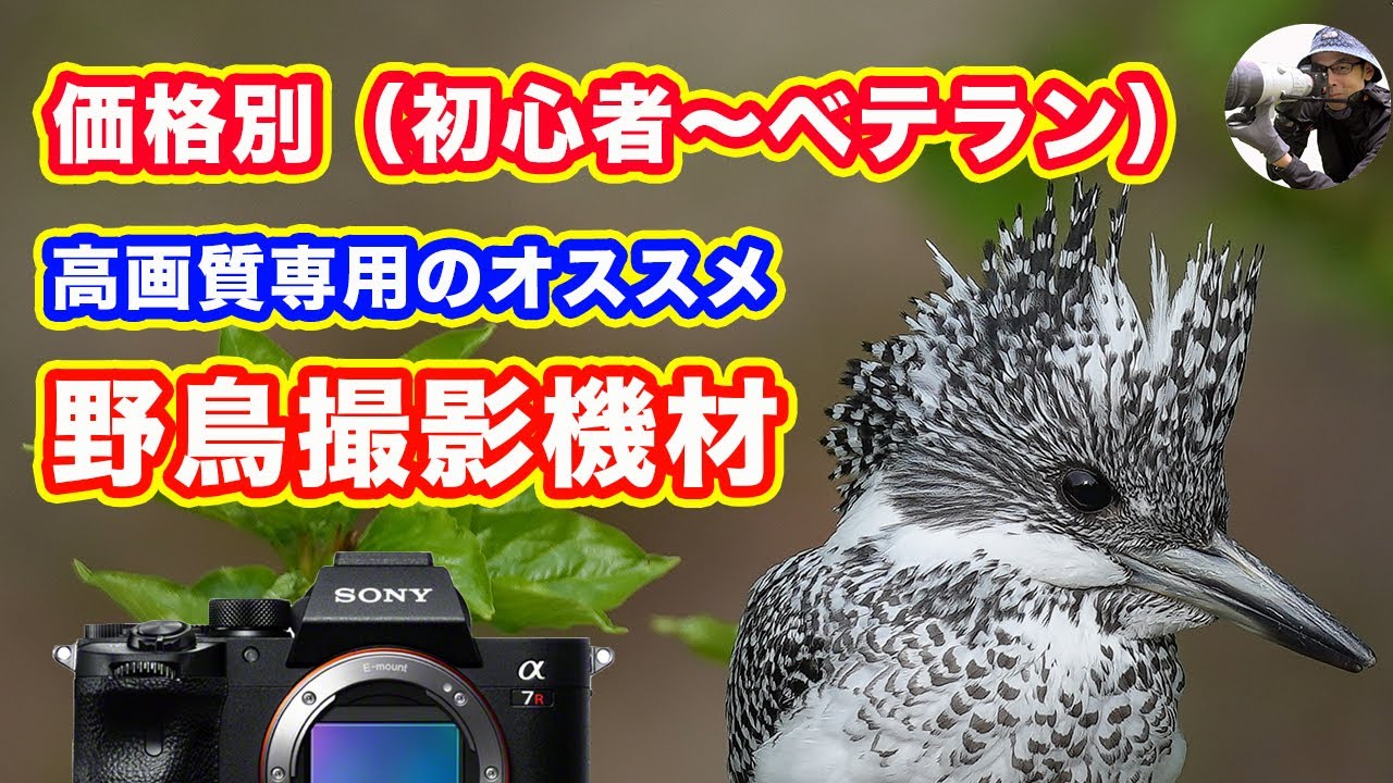 価格別 オススメ野鳥撮影機材 初心者 ベテラン 高画質専用 21年6月版 カメラ レンズ Youtube