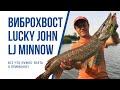 Как ловить на виброхвост LJ Minnow