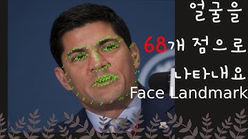 얼굴을 68개 점으로 표현해요. Face Landmark란 무엇인가요?