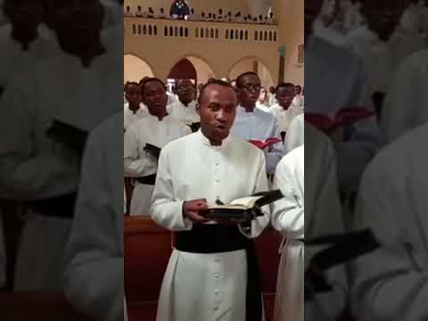 Maajilio Moyowangu Catholicnun Africanmusic