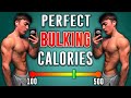 BEST CALORIE SURPLUS FOR BUILDING MUSCLE | How To Lean Bulk