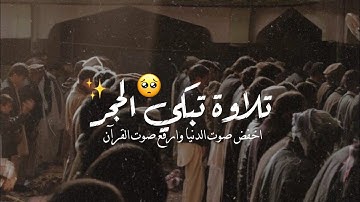 تلاوة تبكي الحجر | أجمل حالات واتس اب قرآن كريم بصوت جميل جدا ❤️😍 Quran Status