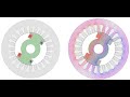 Lecture 4: Realization of Rotor Magnetic Field for Synchronous & Induction Motors