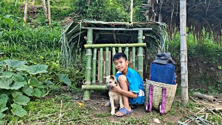 poor boy - Harvesting mangoes to sell. The kind uncle helped Bao build a barn for Mich