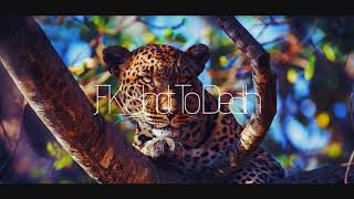 Dan Caster & Edouard - El Camino