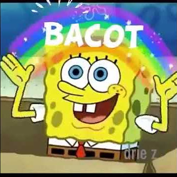 Bacot Spongebob