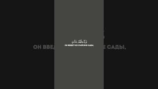 Сура 58 "Аль-Муджадиля" (Препирающаяся) Аят:22 Чтец:Махди Аш-Шишини #Коран #قرآن #shorts #islam #ذكر
