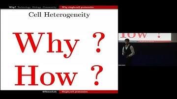 Biological and technological frontiers for single-cell proteomics | Prof. Nikolai Slavov | SCP2023