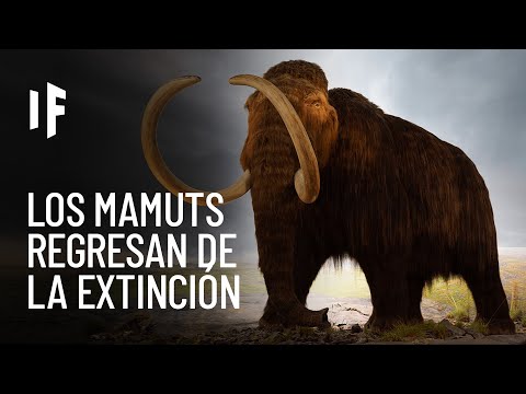 Vídeo: La Razón De La Extinción De Los Mamuts Podría Ser Su Peso - Vista Alternativa