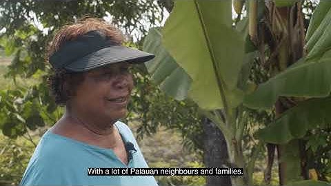 Cultivating health: Palau’s fields bring the Healthy Islands vision to life