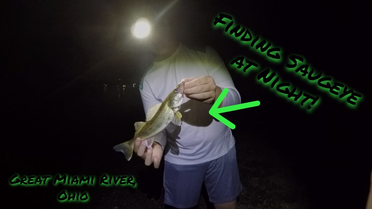 Night Fishing For Saugeye ( Great Miami River) 
