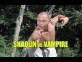 Wu Tang Collection - Shaolin vs Vampire