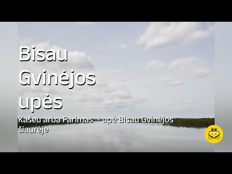 Video: Kodėl upė vingiuoja?