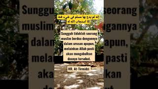 Download Lagu Baca Kalimat Ini Ketika Berdoa, Pasti Allah Kabulkan #shorts #doa #muslim MP3